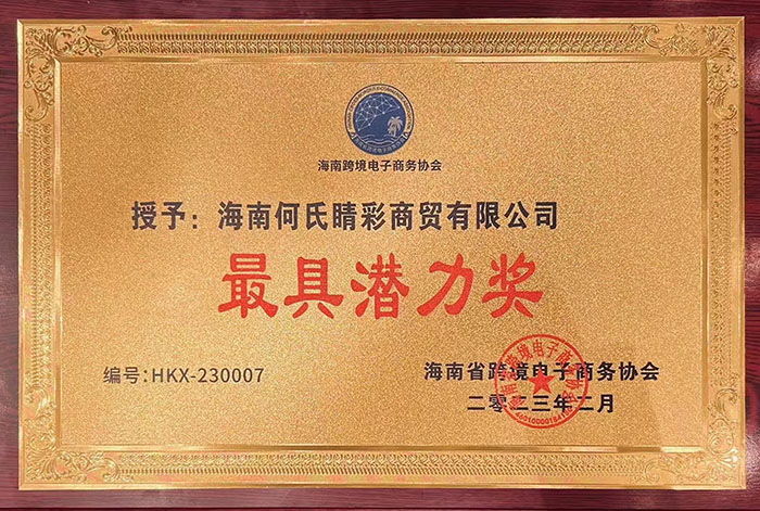 2023.2.8 海南K8凯发睛彩商贸有限公司被海南省跨境电子商务协会授予“最具潜力奖”.jpg